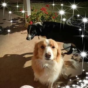 Meet your Posher, Jane